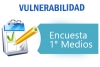 Encuesta Vulnerabilidad 1° medios